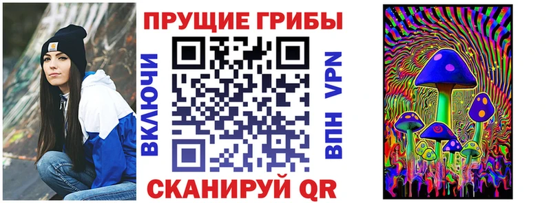 blacksprut вход  Бирюч  Псилоцибиновые грибы мицелий  хочу наркоту 